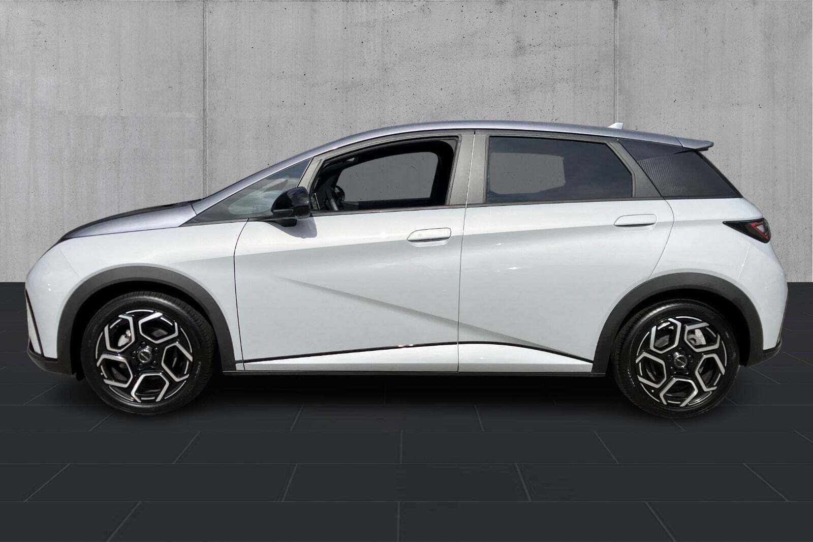 BYD Dolphin 60 Design