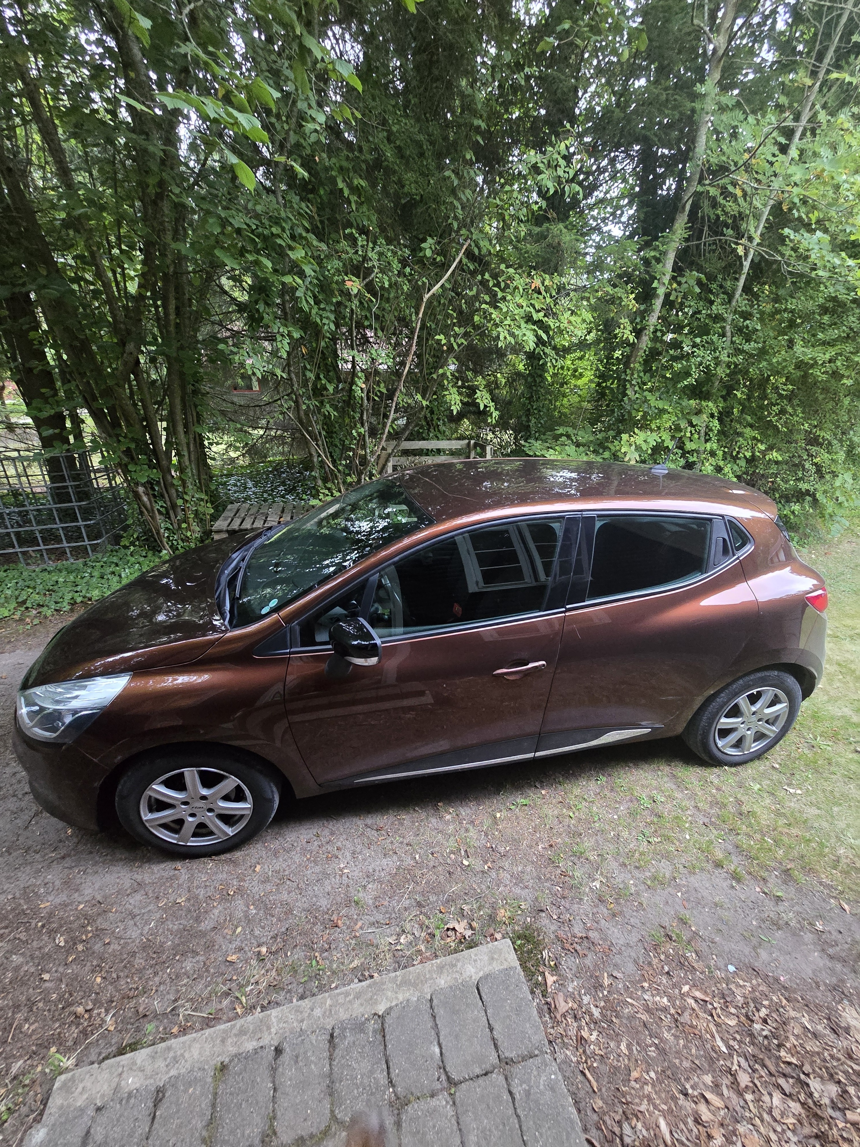 Brun Renault Ny Clio fra 2013