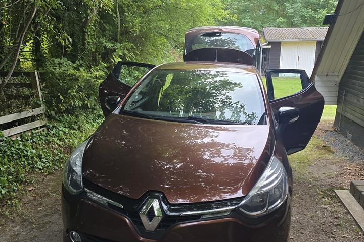 Brun Renault Ny Clio fra 2013