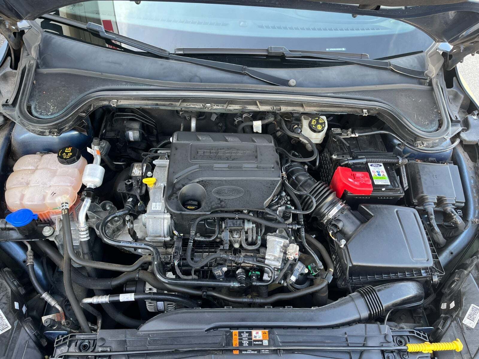 Blå Ford Focus fra 2019