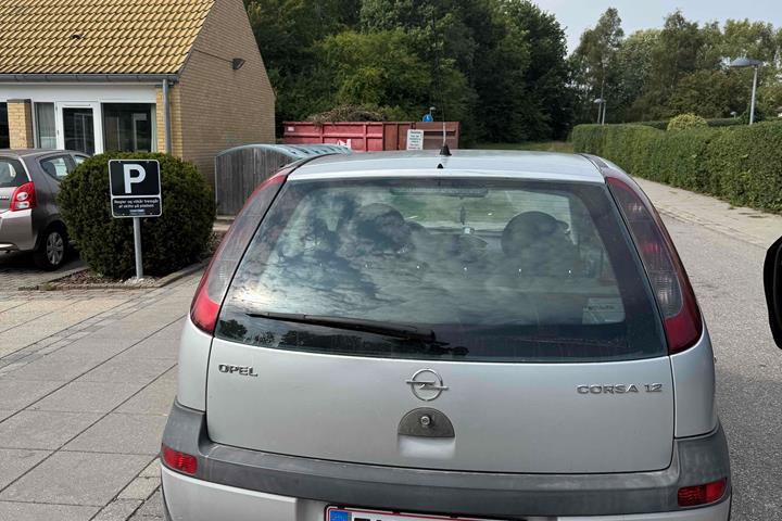 Grå Opel Corsa fra 2002