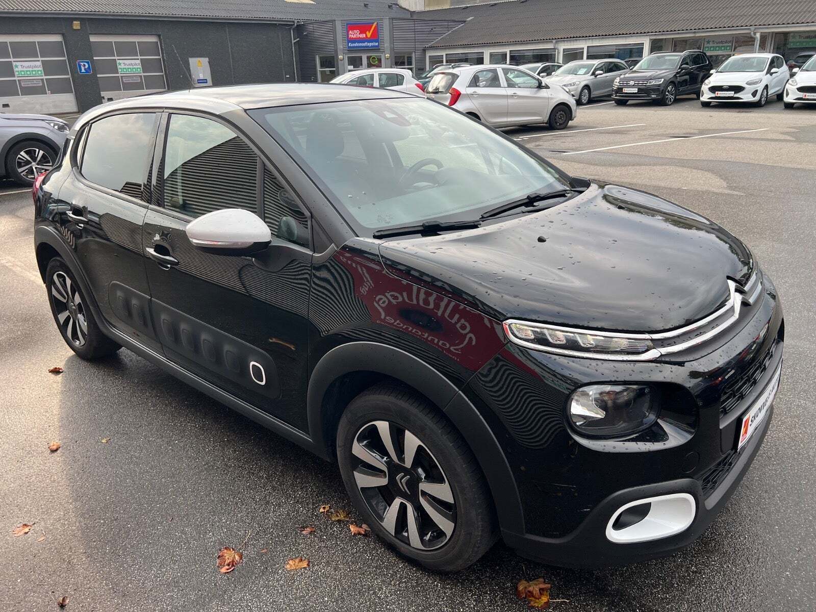 Citroën C3 1,5 BlueHDi 100 SkyLine