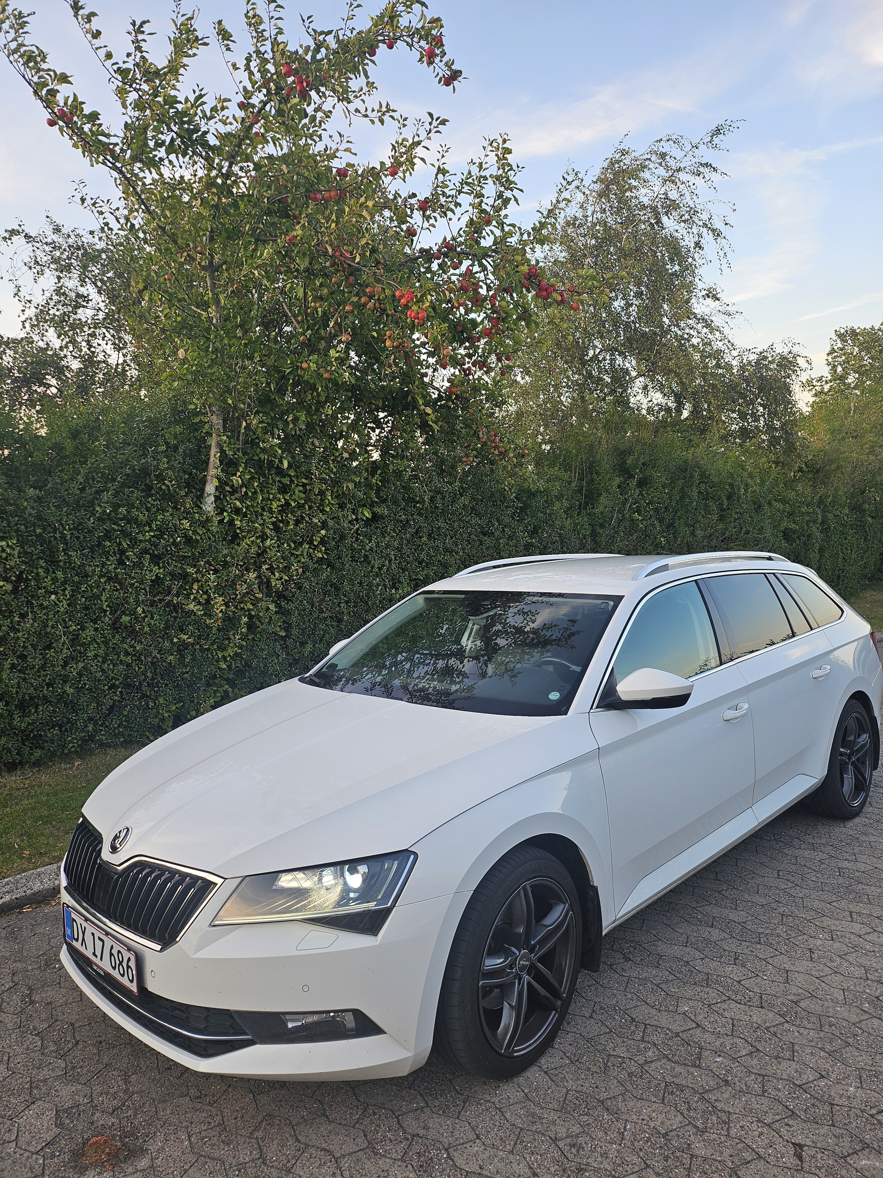 Skoda Superb 2,0 TDI 190 COMBI DSG