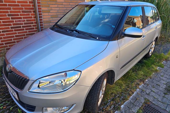 undefined Skoda Fabia fra 2010