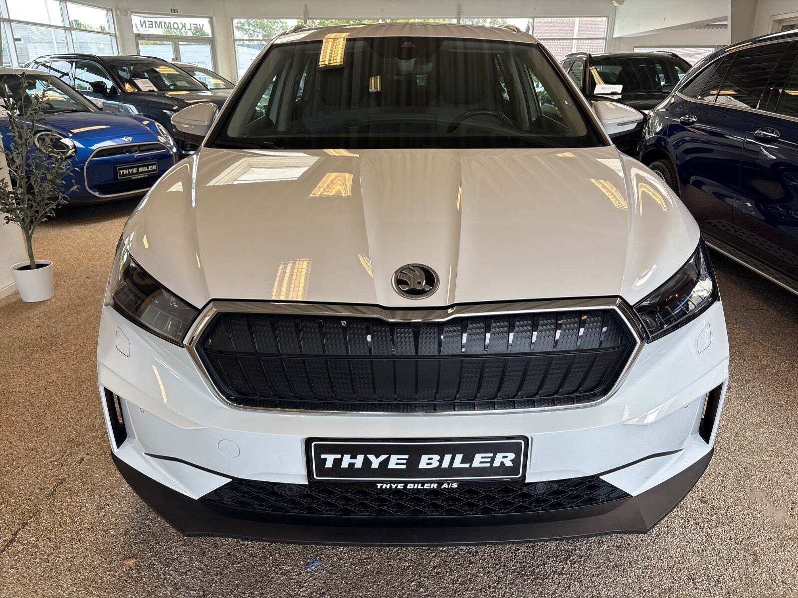 Skoda Enyaq 80 iV Loft