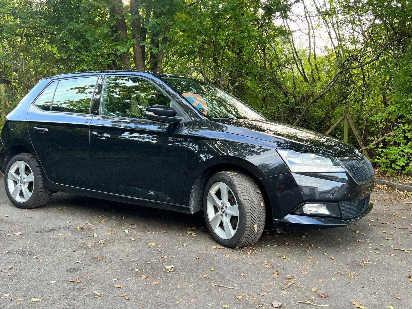 Skoda Fabia 1,0 TSi 110 Style