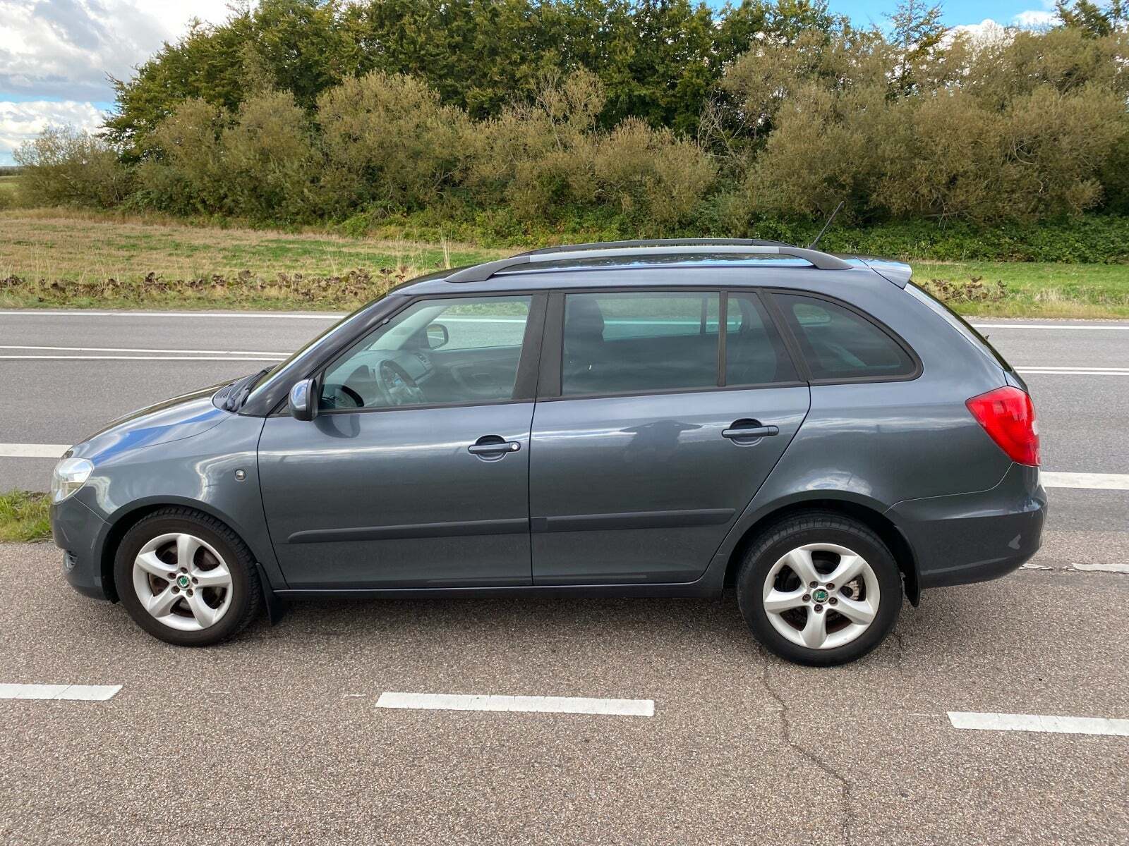 Grå Skoda Fabia fra 2012