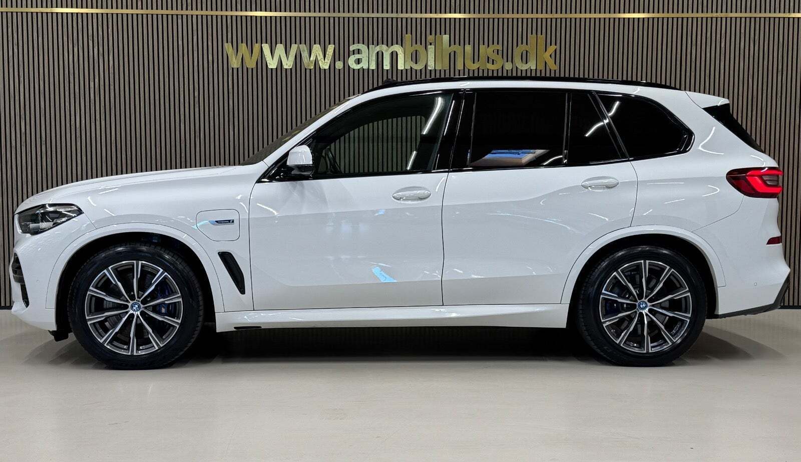 BMW X5 3,0 xDrive45e M-Sport+ aut.