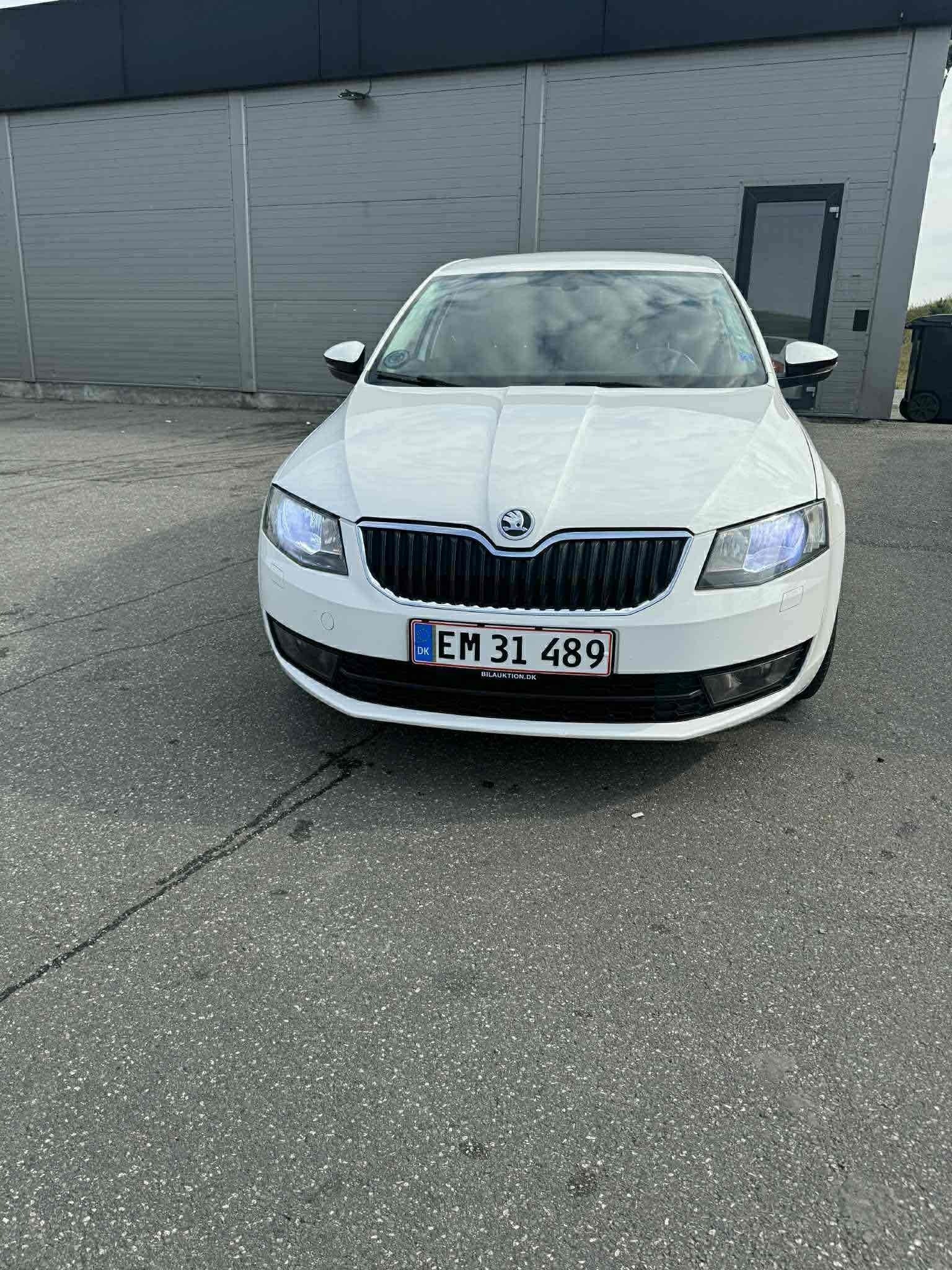 Hvid Skoda Octavia fra 2014