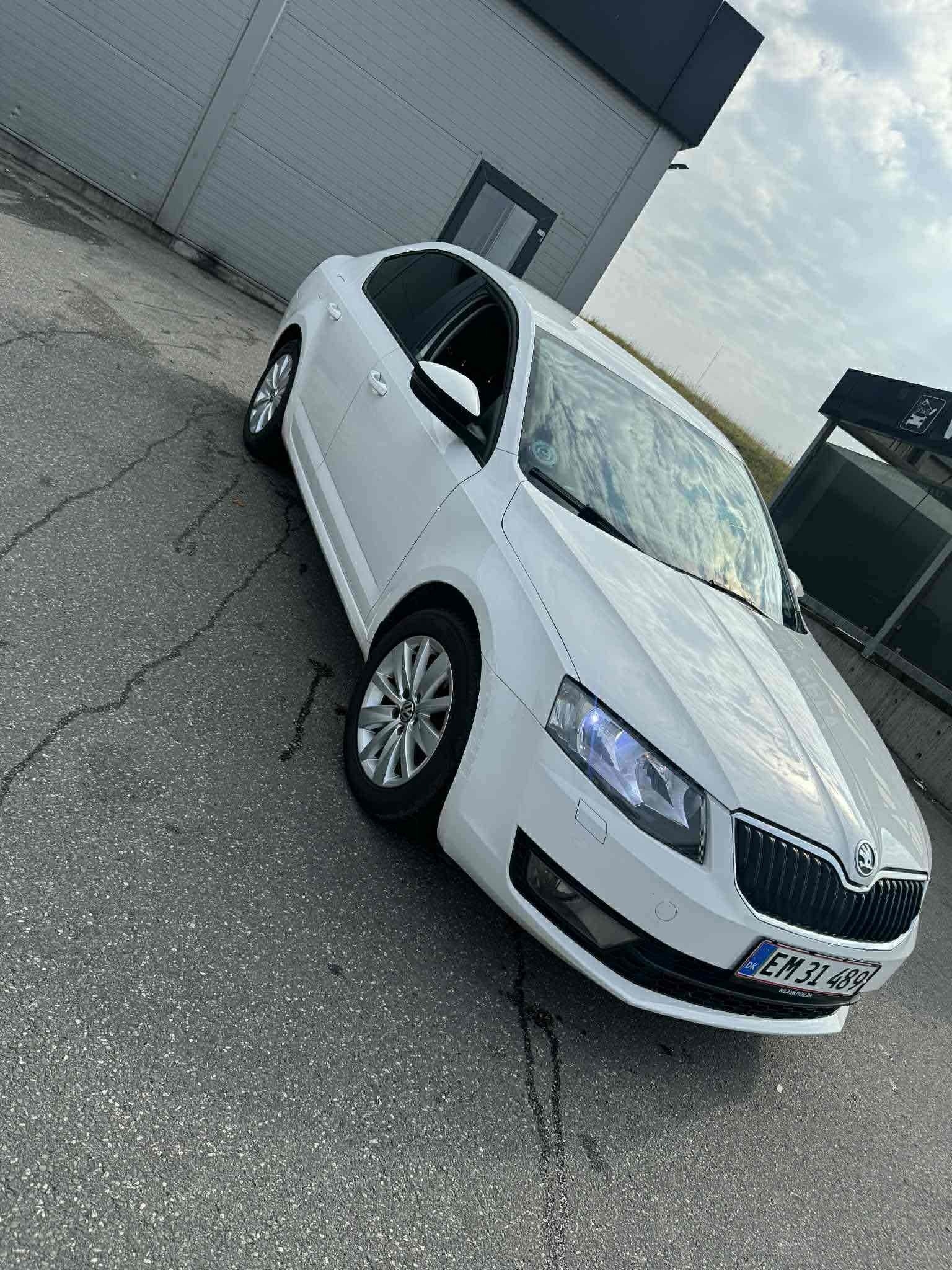 Hvid Skoda Octavia fra 2014