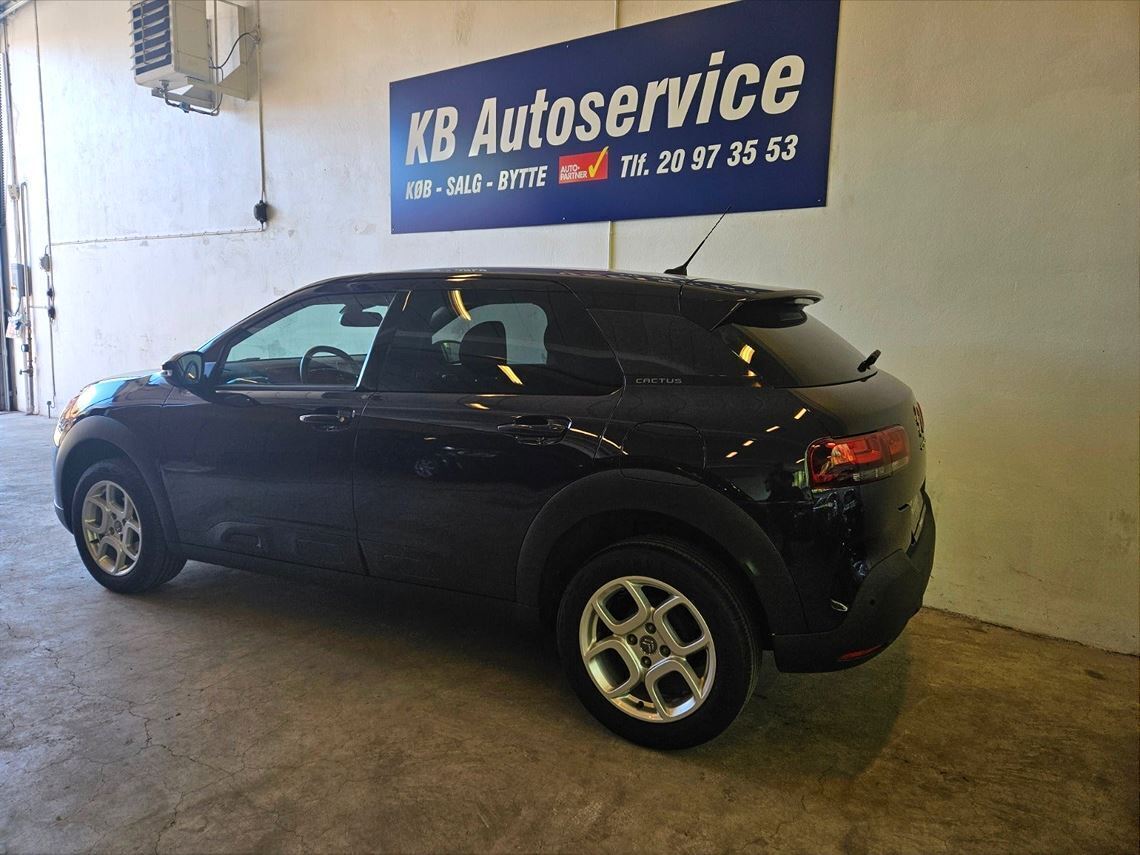 Lilla Citroën C4 Cactus fra 2019