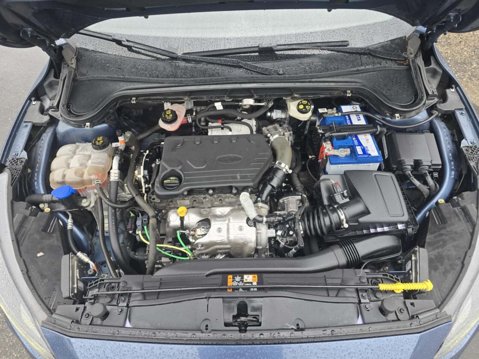 Blå Ford Focus fra 2020