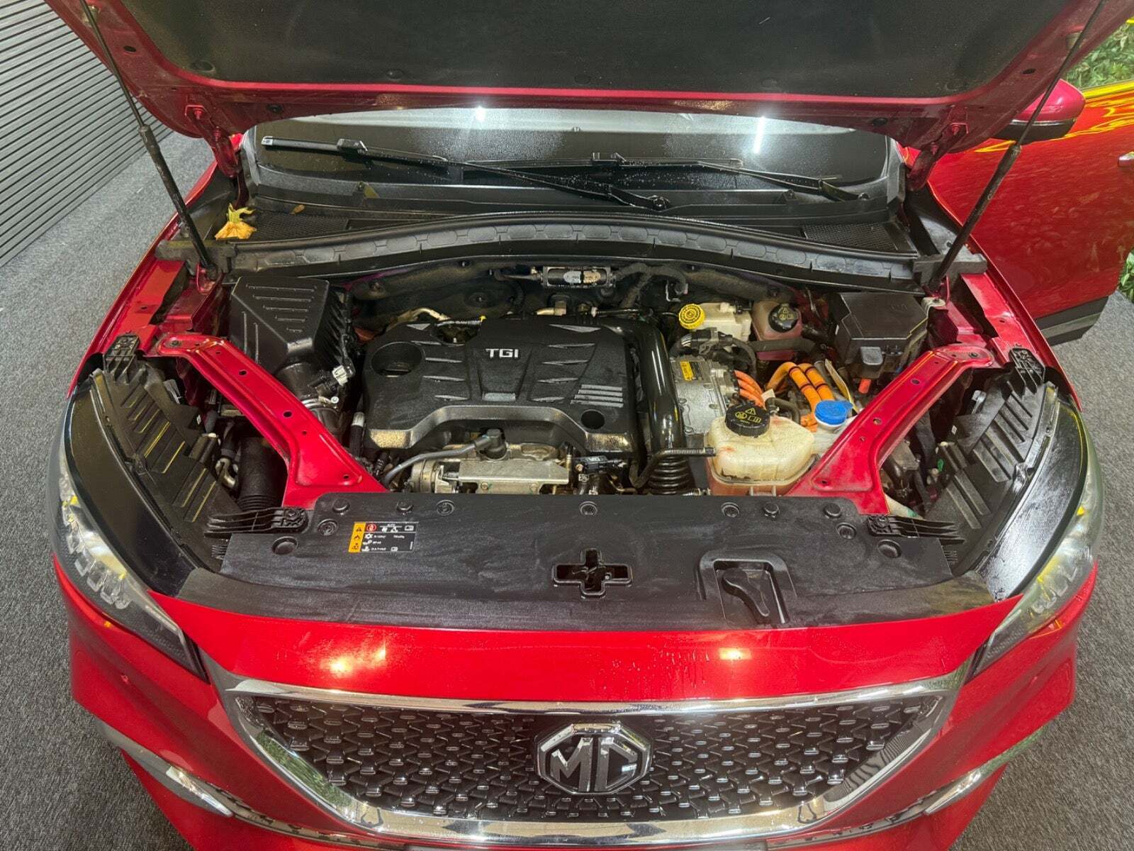 undefined MG EHS fra 2021