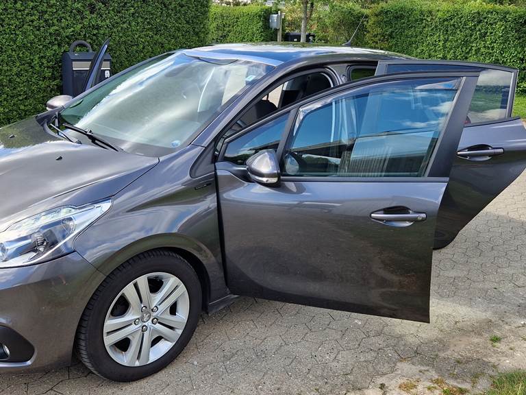 Peugeot 208 1,5 BlueHDi 100 5D. Signatur Sky