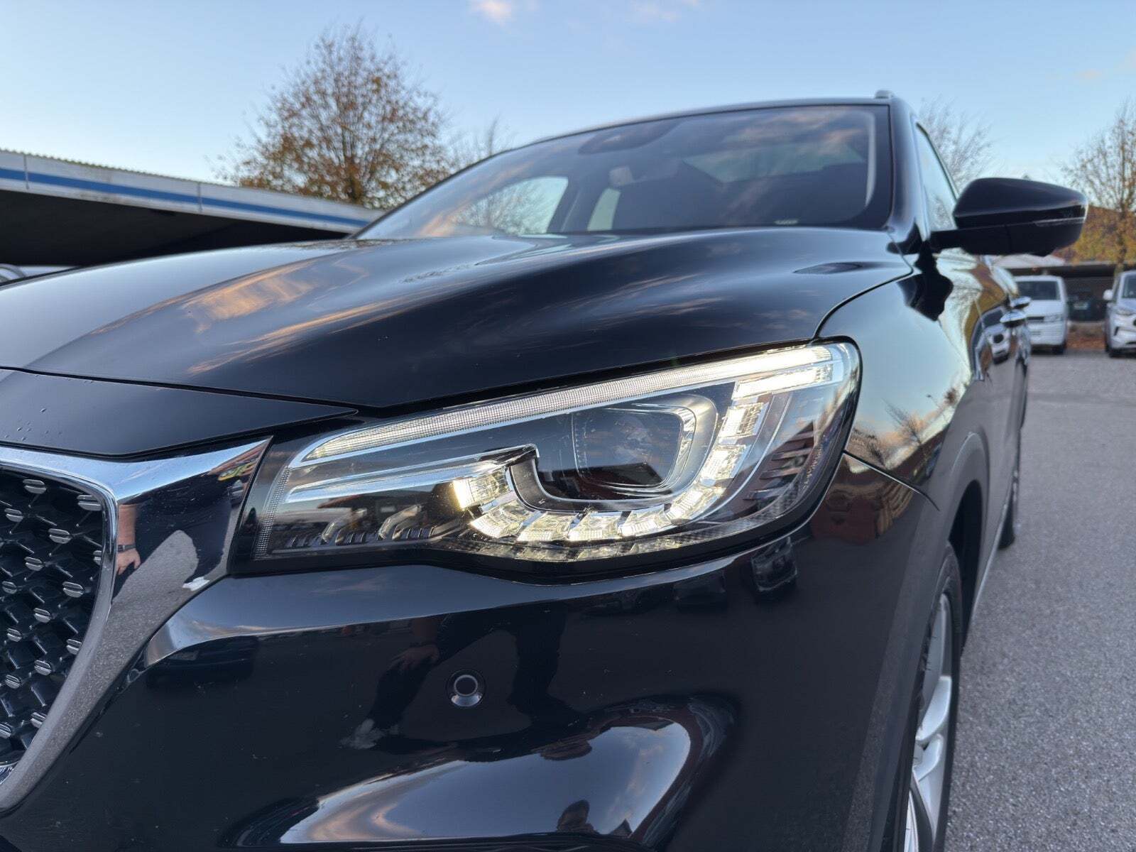 Sort MG EHS fra 2021