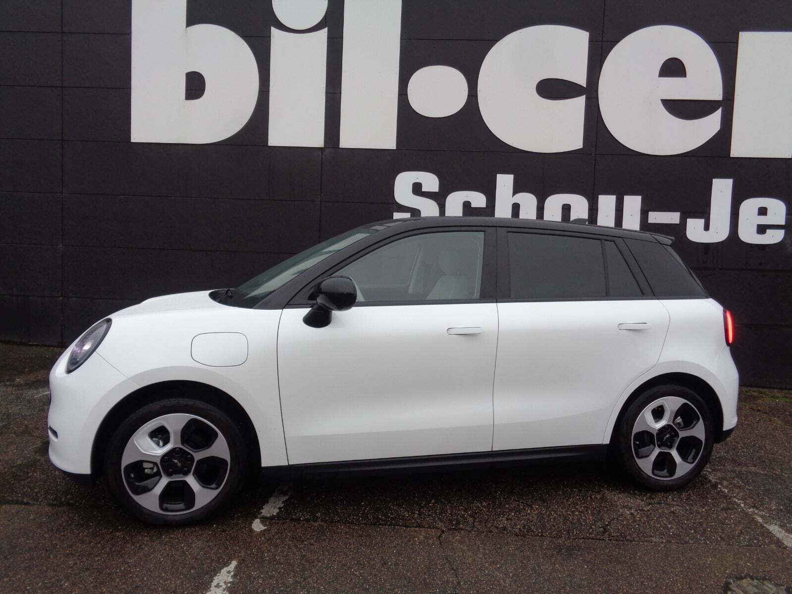 JAC E30X 50 Nordic Edition