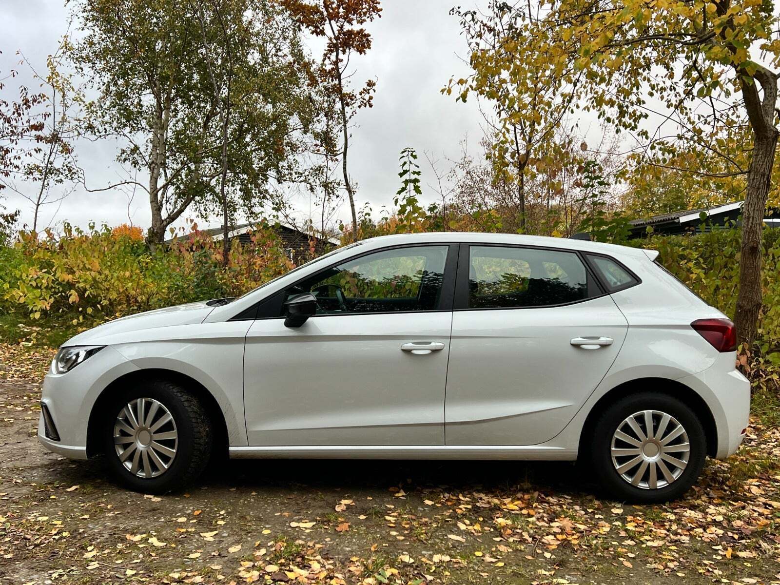 Hvid Seat Ibiza fra 2020