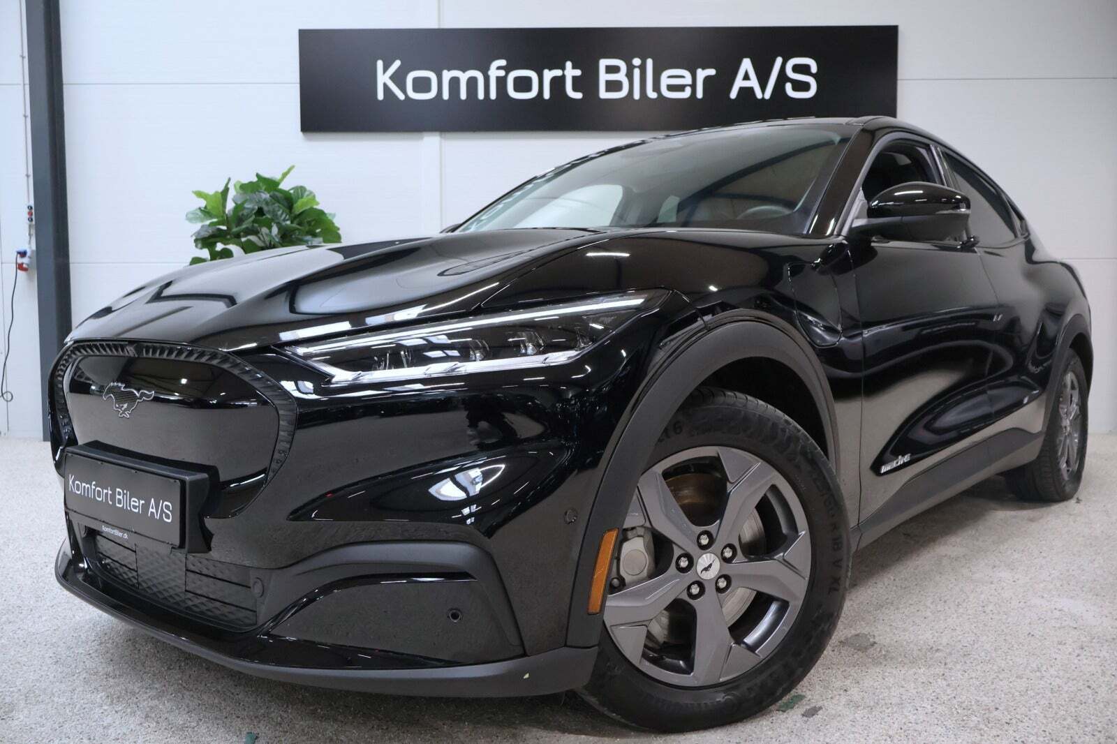 Ford Mustang Mach-E 75 Standard Range