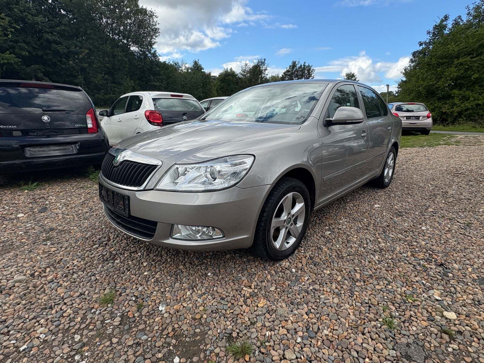 undefined Skoda Octavia fra 2012 set udefra