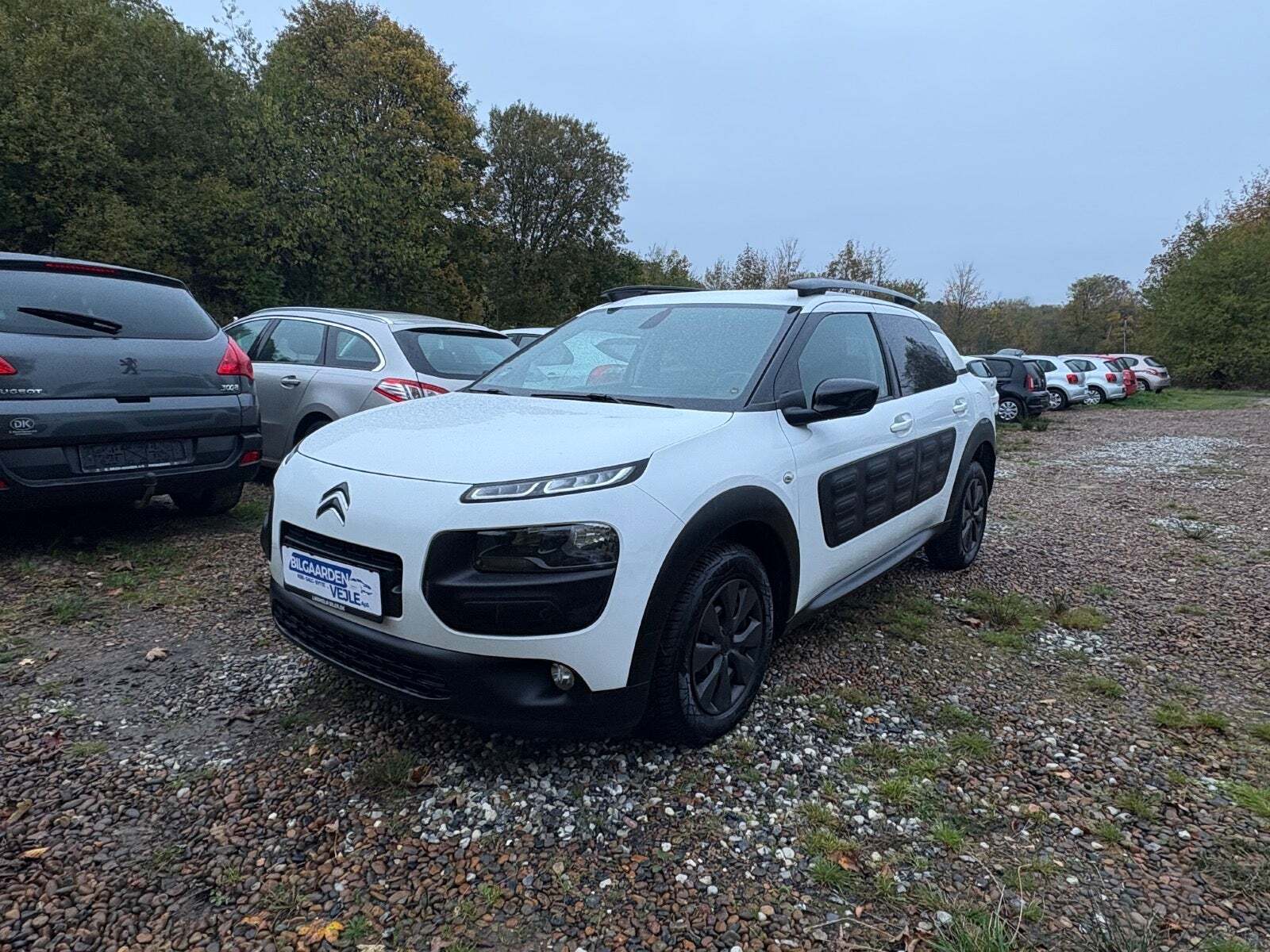 Citroën C4 Cactus 1,6 BlueHDi 100 Feel Free