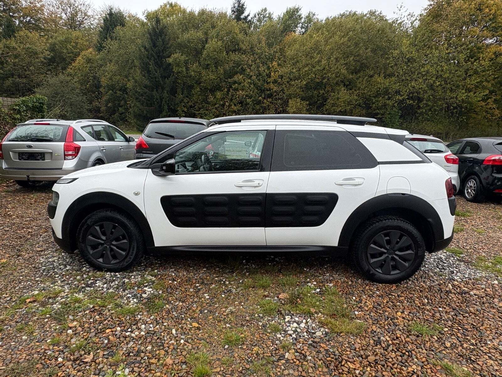 Citroën C4 Cactus 1,6 BlueHDi 100 Feel Free