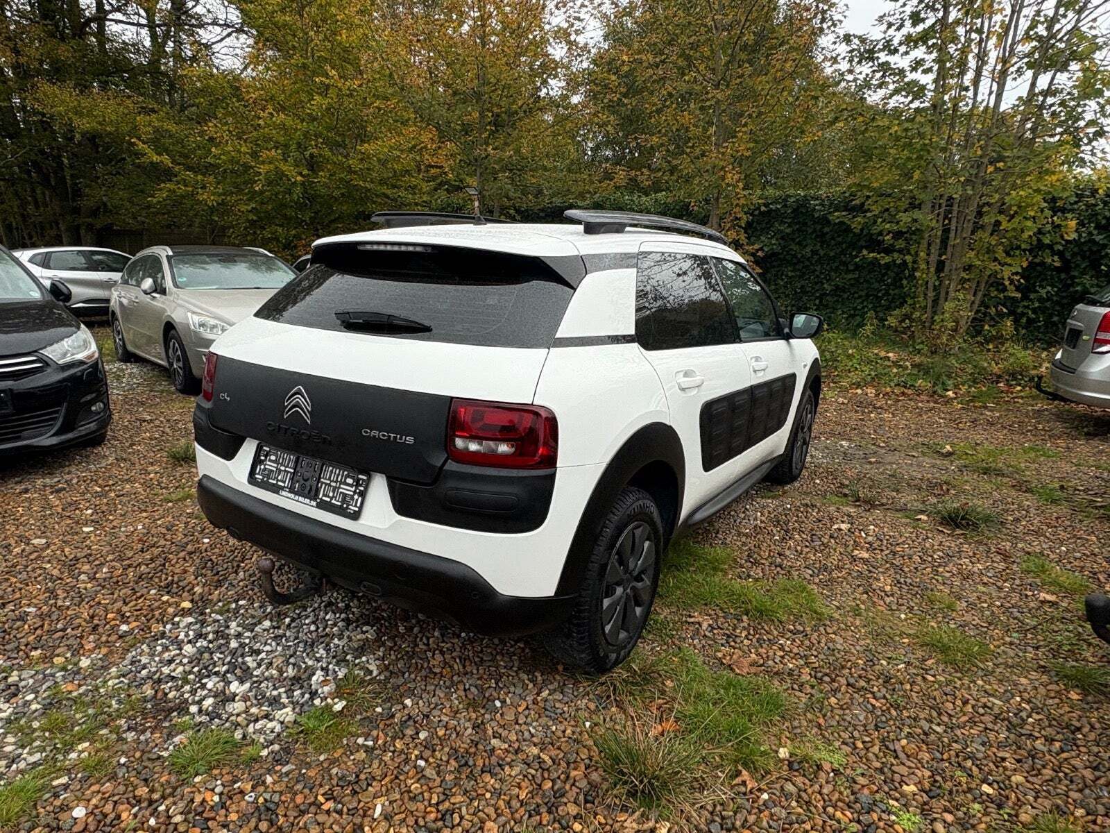 undefined Citroën C4 Cactus fra 2017