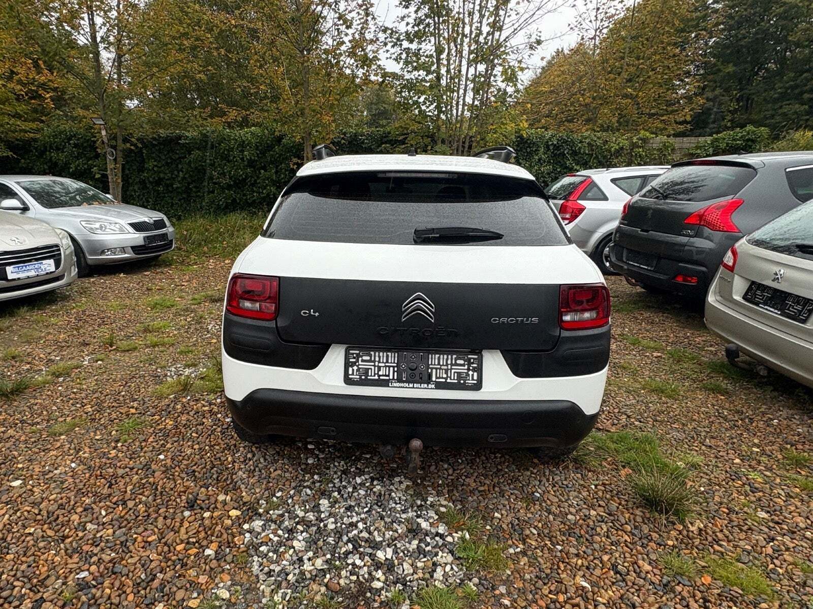 undefined Citroën C4 Cactus fra 2017