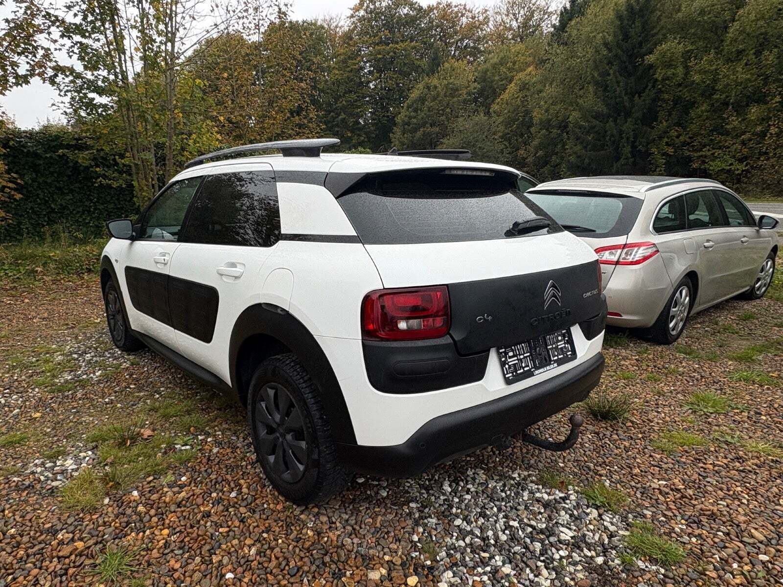 Citroën C4 Cactus 1,6 BlueHDi 100 Feel Free