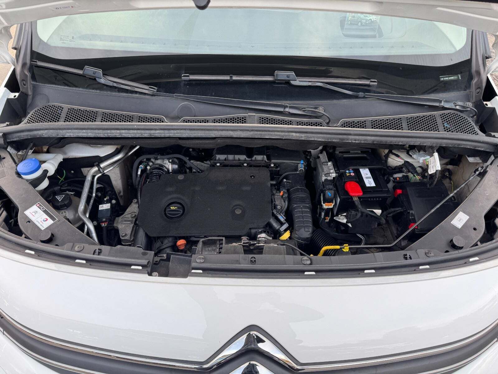 Hvid Citroën Berlingo fra 2019