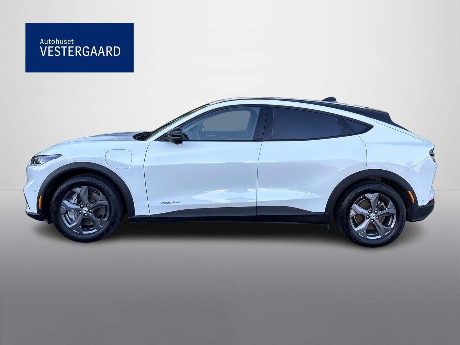 Ford Mustang Mach-E 75 Standard Range