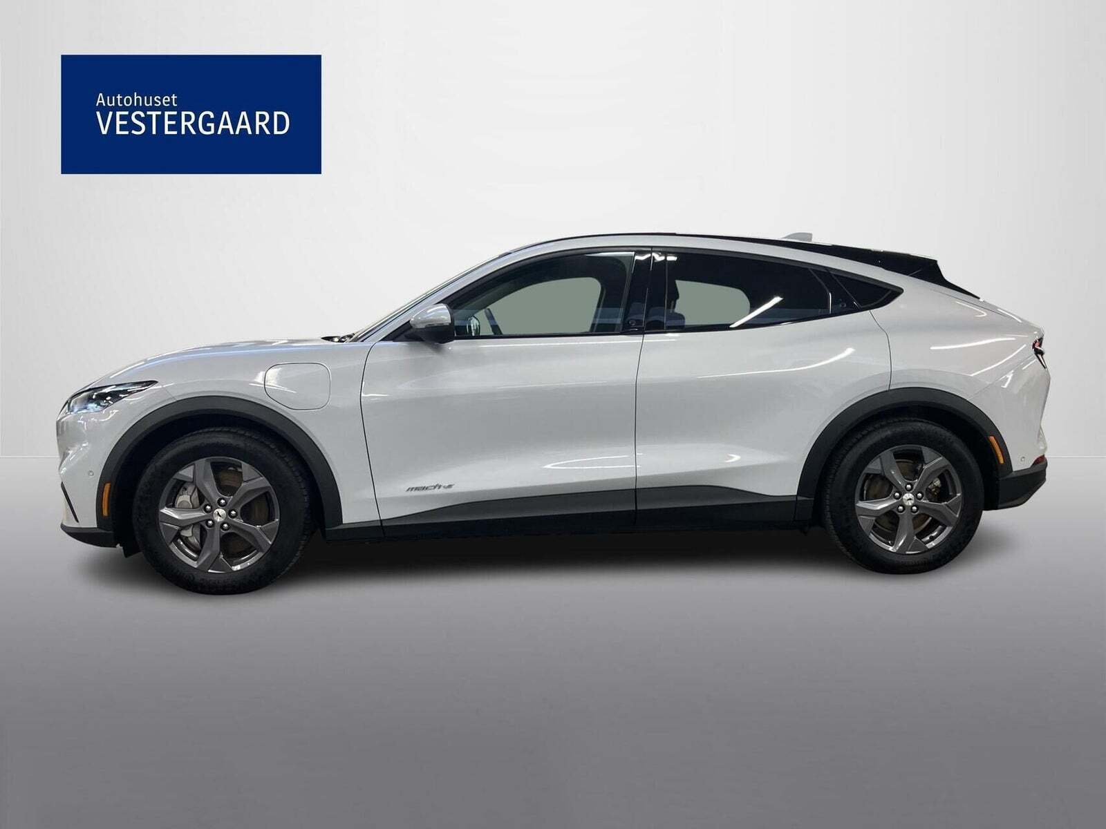 Ford Mustang Mach-E 75 Standard Range