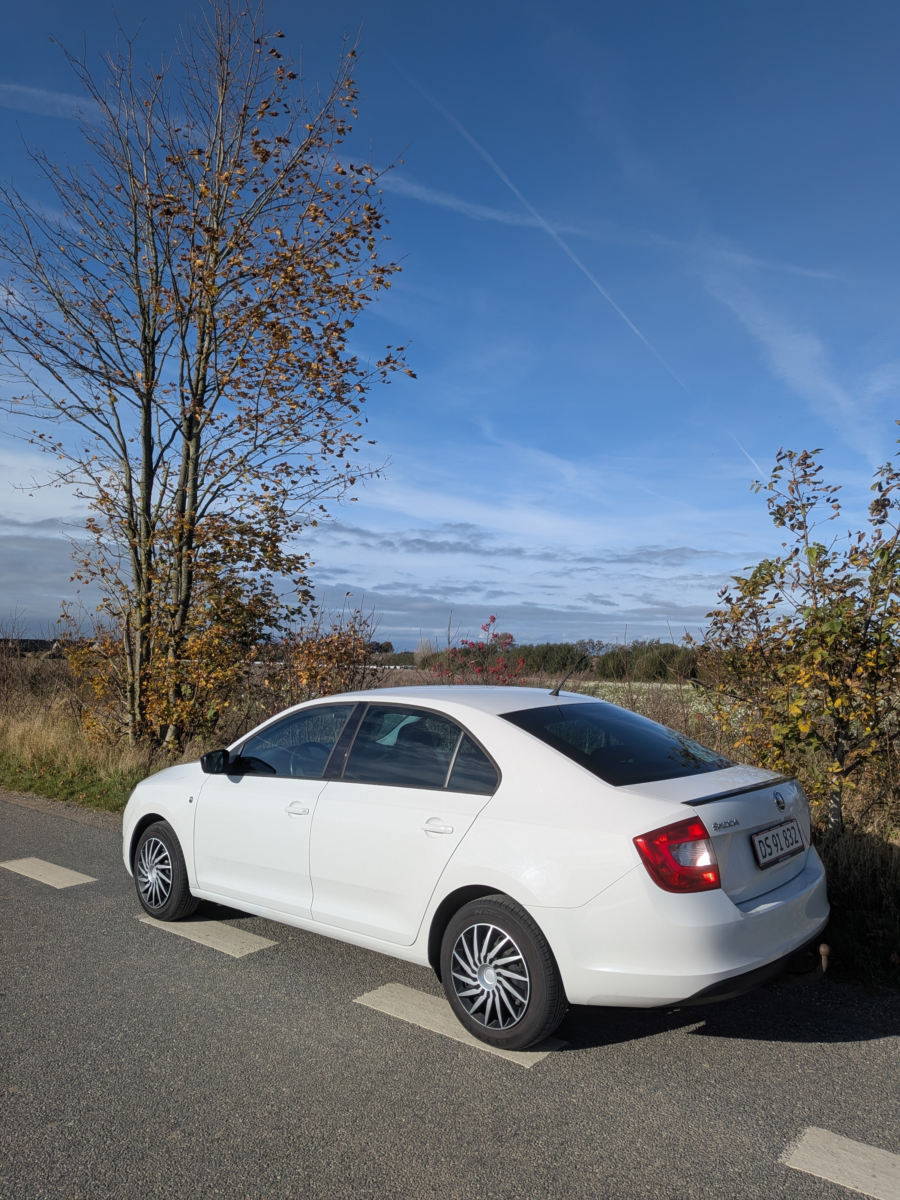 Skoda Rapid 1,2 TSI 105 HK Hatchback