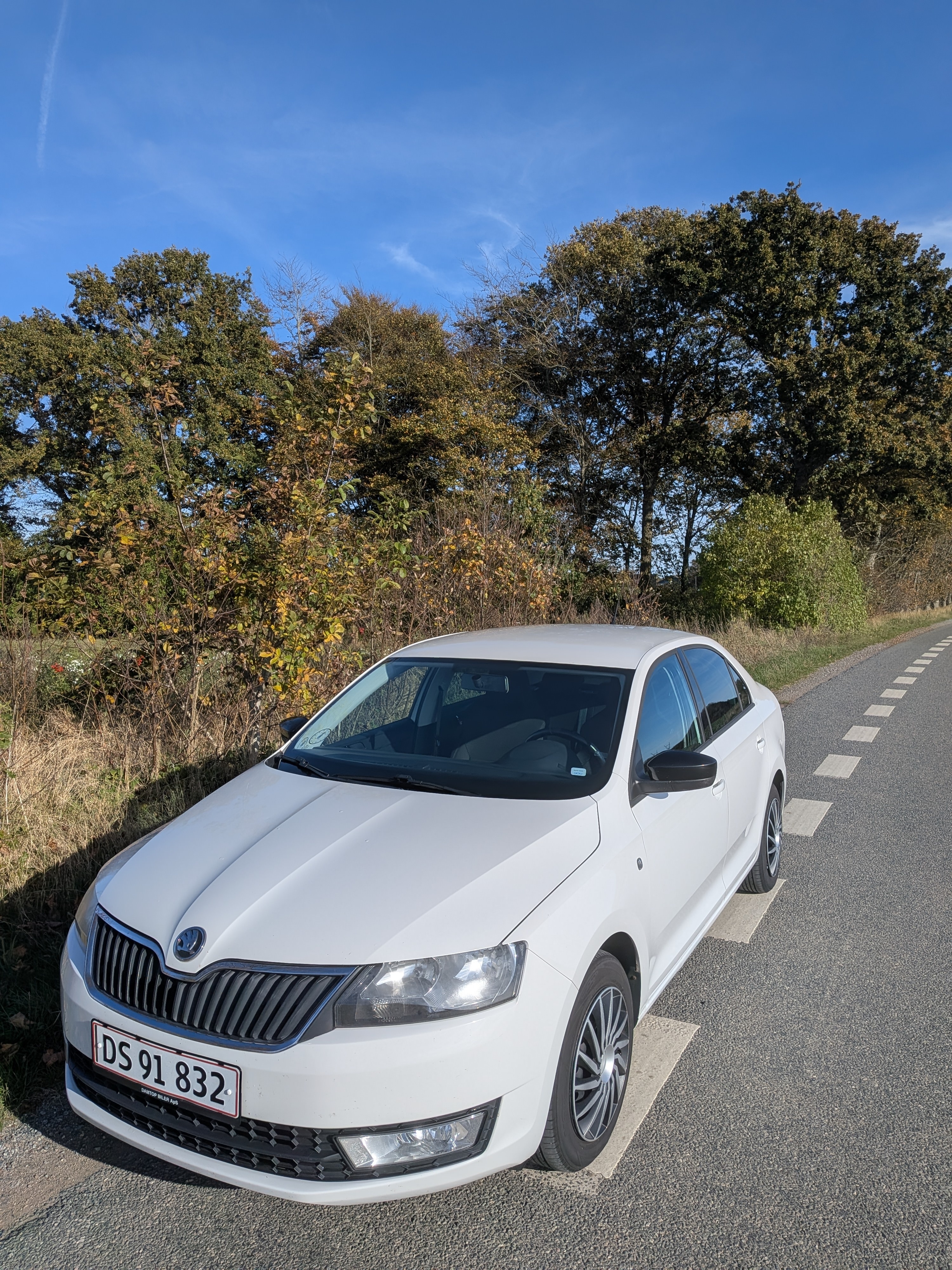 Skoda Rapid 1,2 TSI 105 HK Hatchback