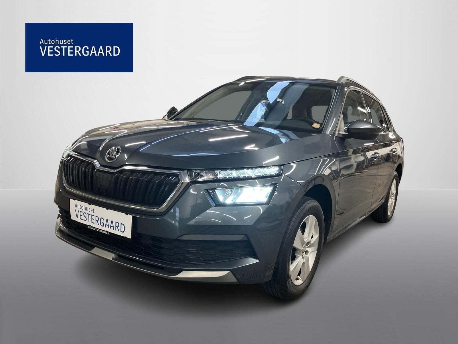 Skoda Kamiq 1,0 TSi 110 Tour de France DSG