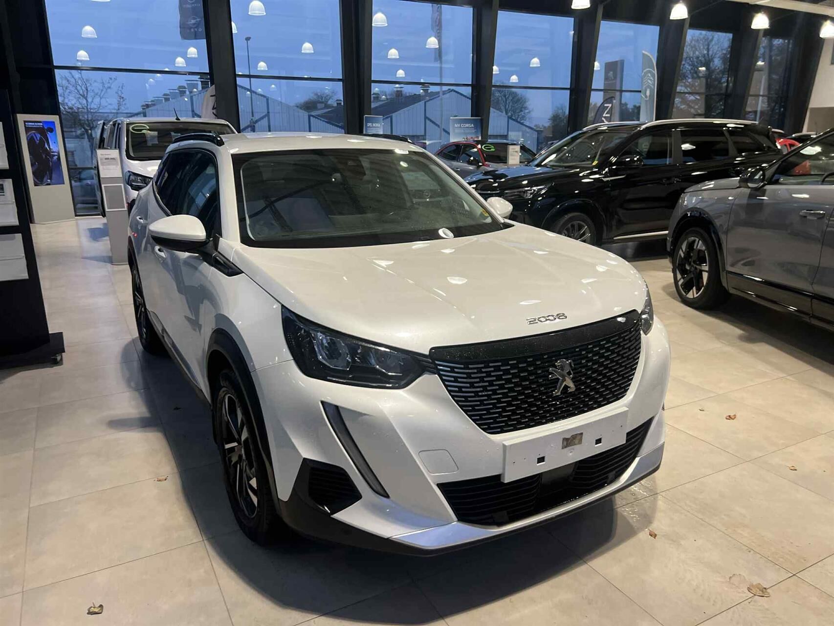 Hvid Peugeot 2008 fra 2020