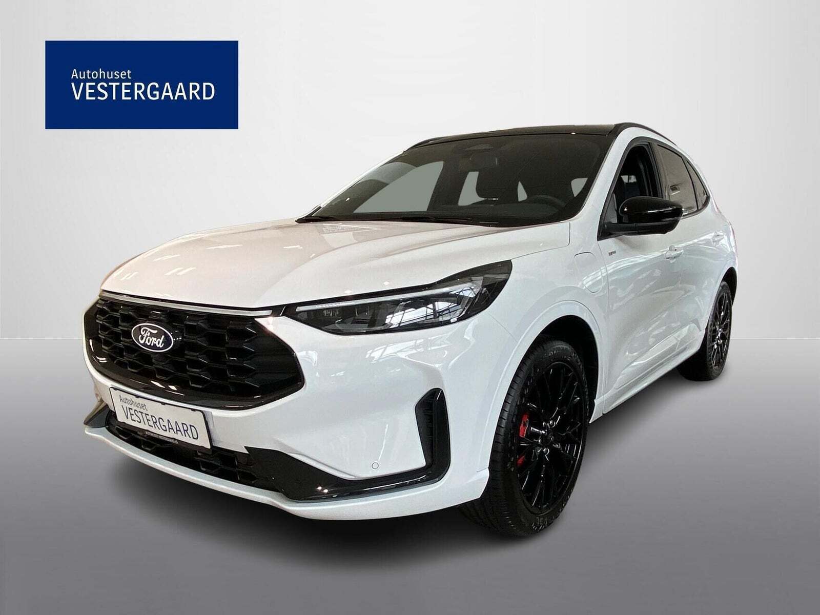 Ford Kuga 2,5 PHEV ST-Line X CVT