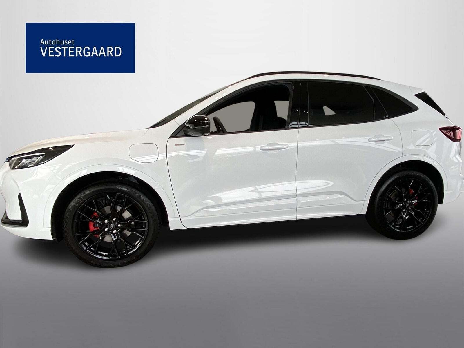 Ford Kuga 2,5 PHEV ST-Line X CVT