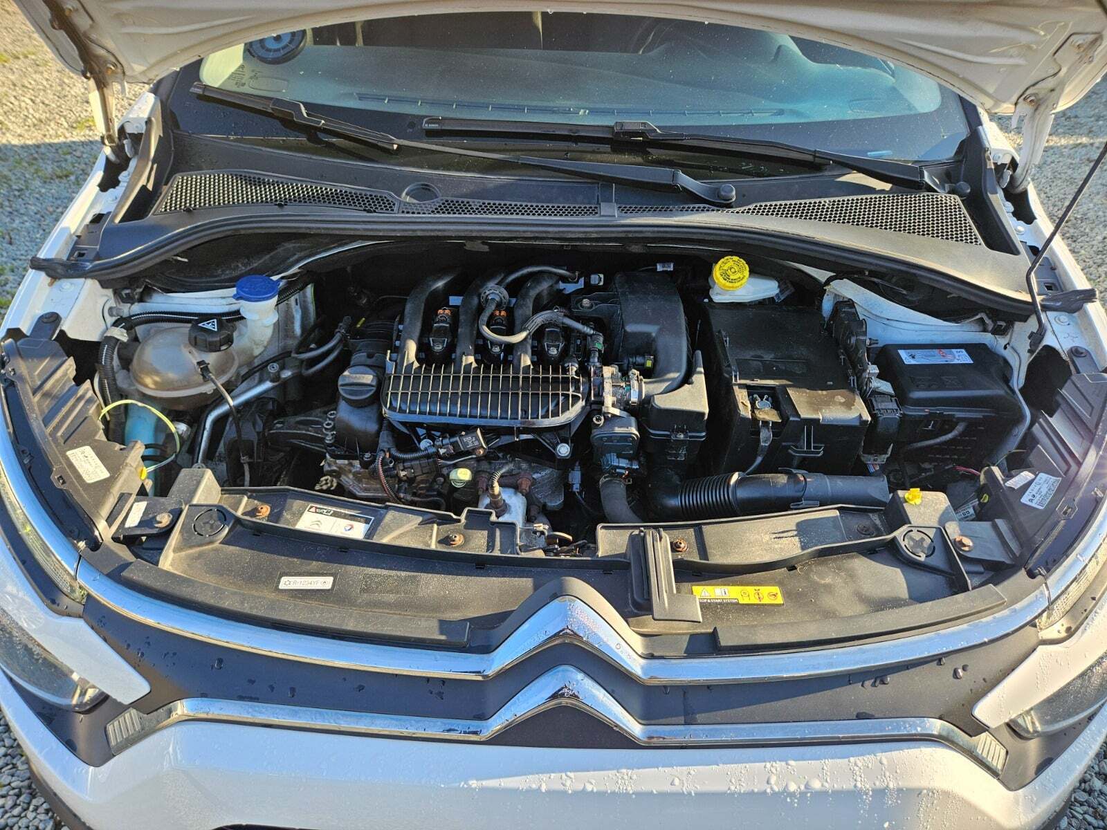 Hvid Citroën C3 fra 2021