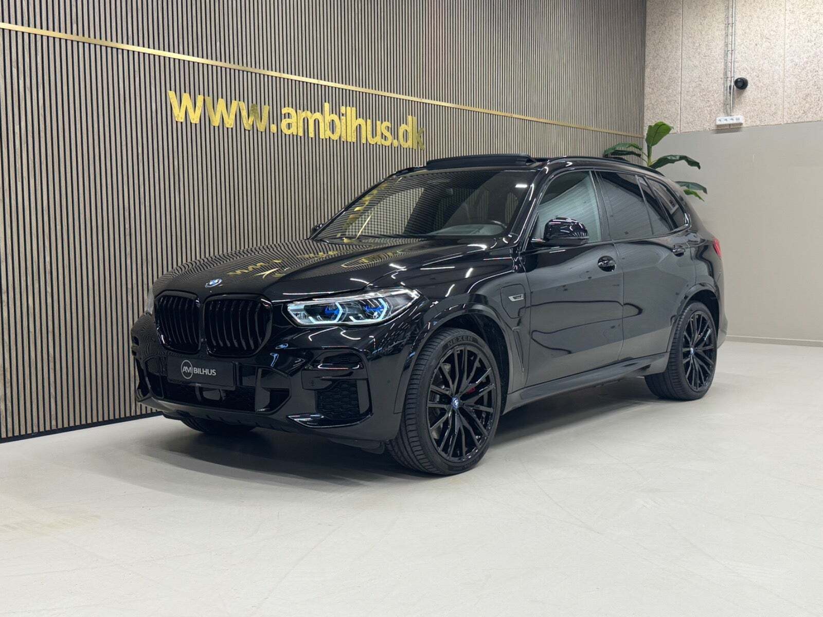 BMW X5 3,0 xDrive45e M-Sport+ aut.