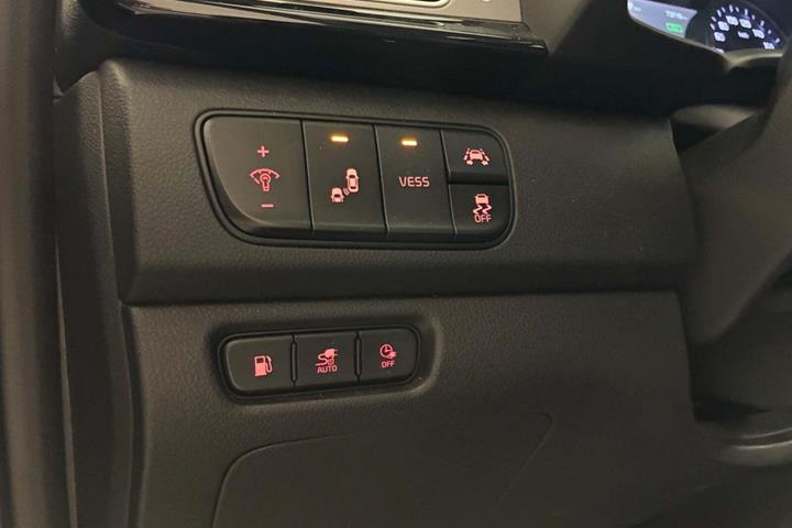 Grå Kia Niro fra 2018