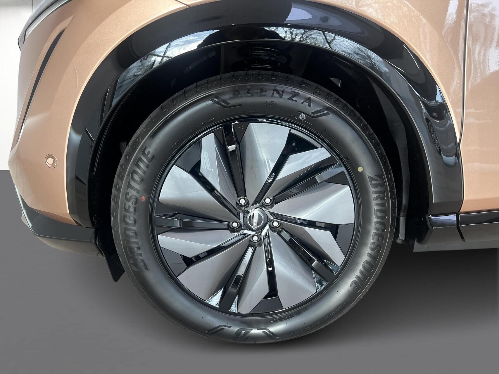 Sort Nissan Ariya fra 2025