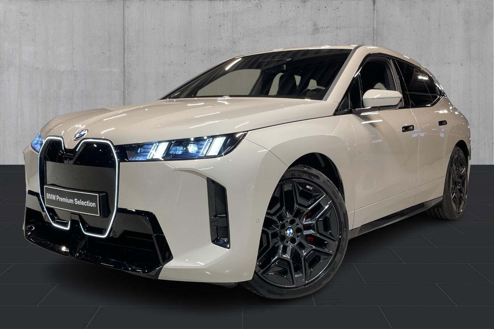 BMW iX xDrive45 Fully Charged