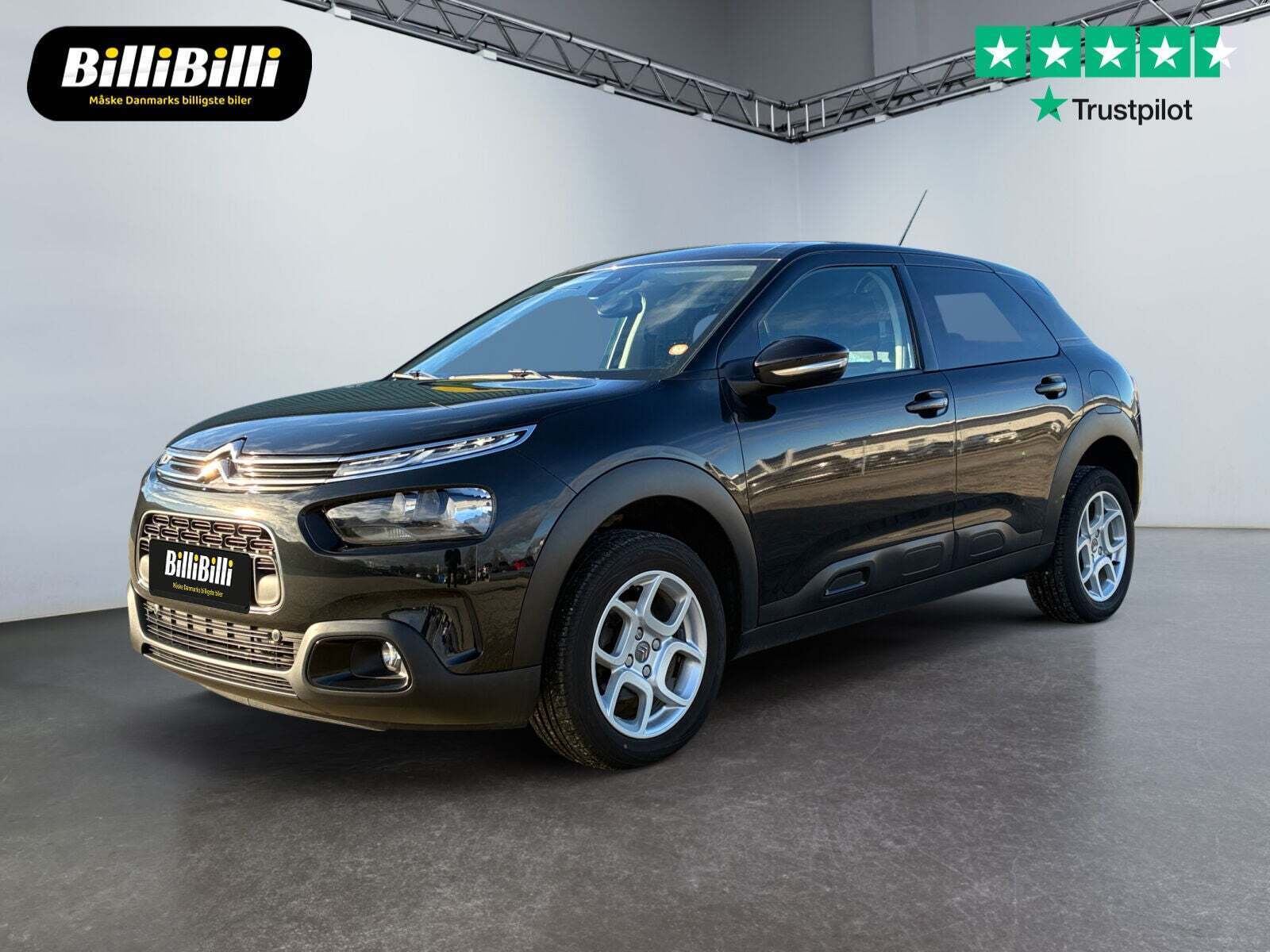 Citroën C4 Cactus 1,5 BlueHDi 100 SkyLine Van