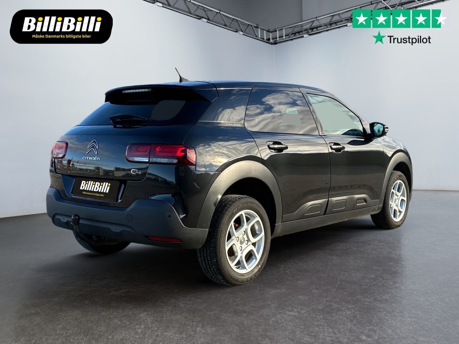 Citroën C4 Cactus 1,5 BlueHDi 100 SkyLine Van