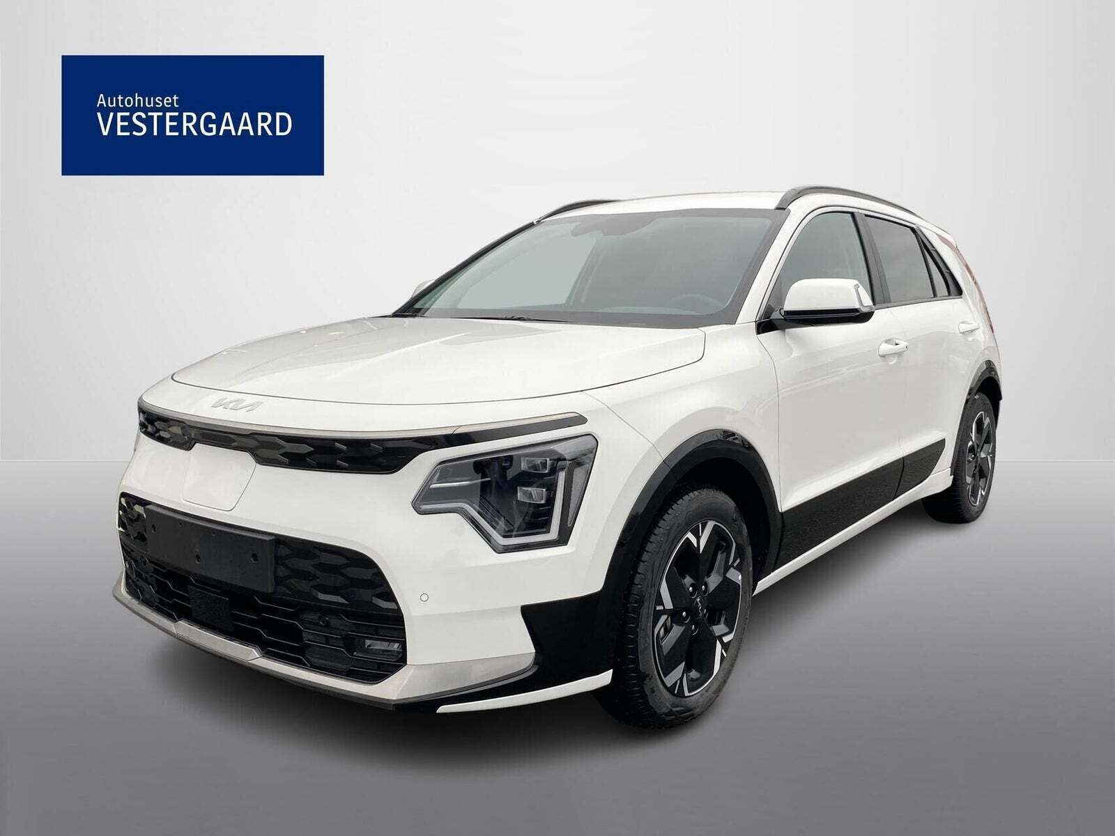 Kia Niro 64 EV Premium