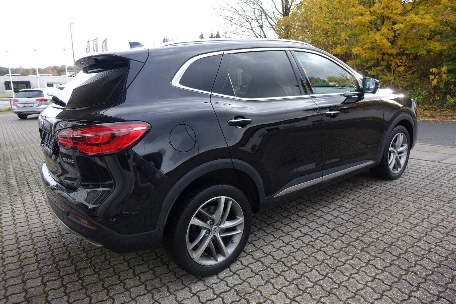 Sort MG EHS fra 2021