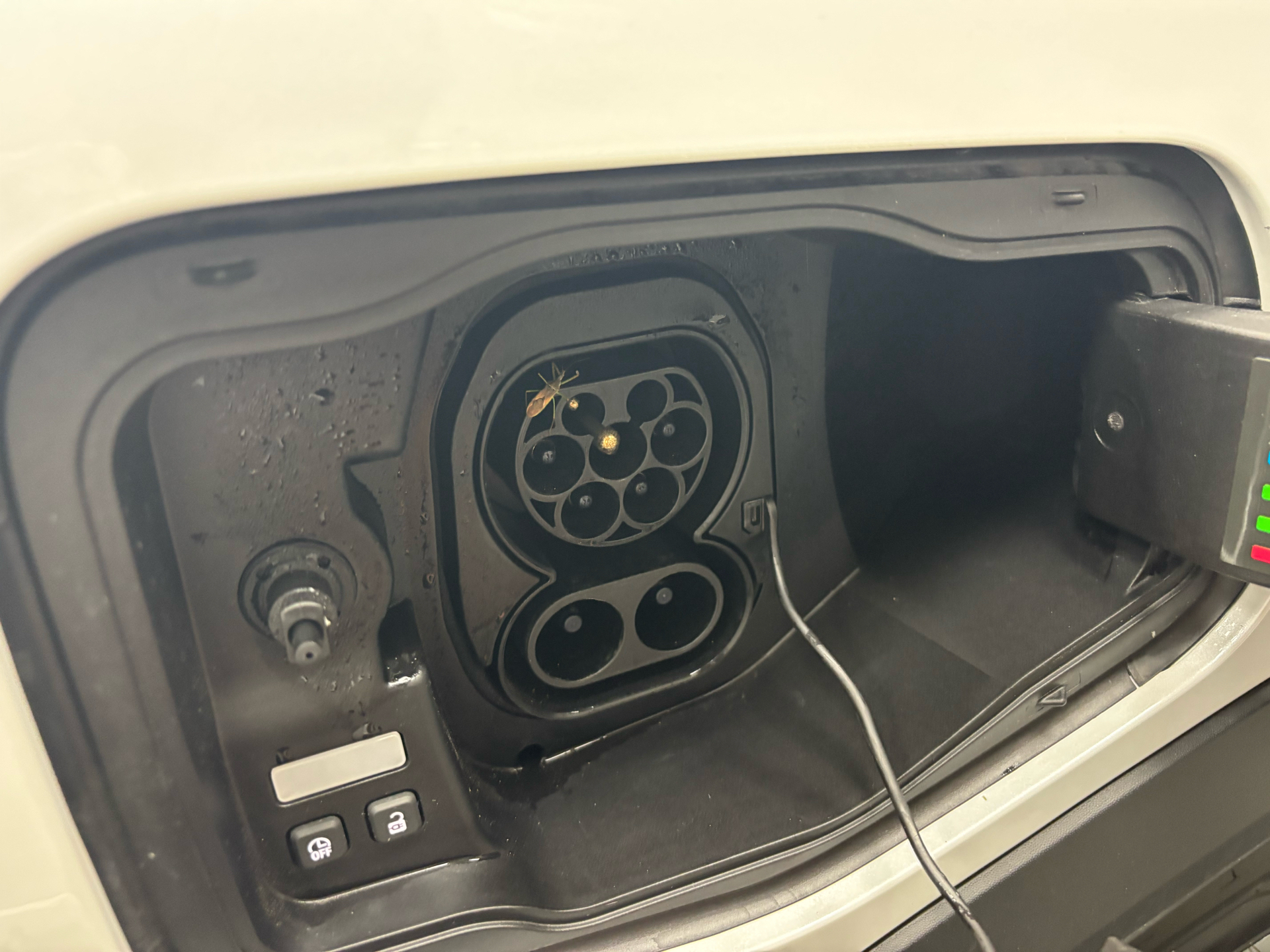 Sort Renault Scénic fra 2025