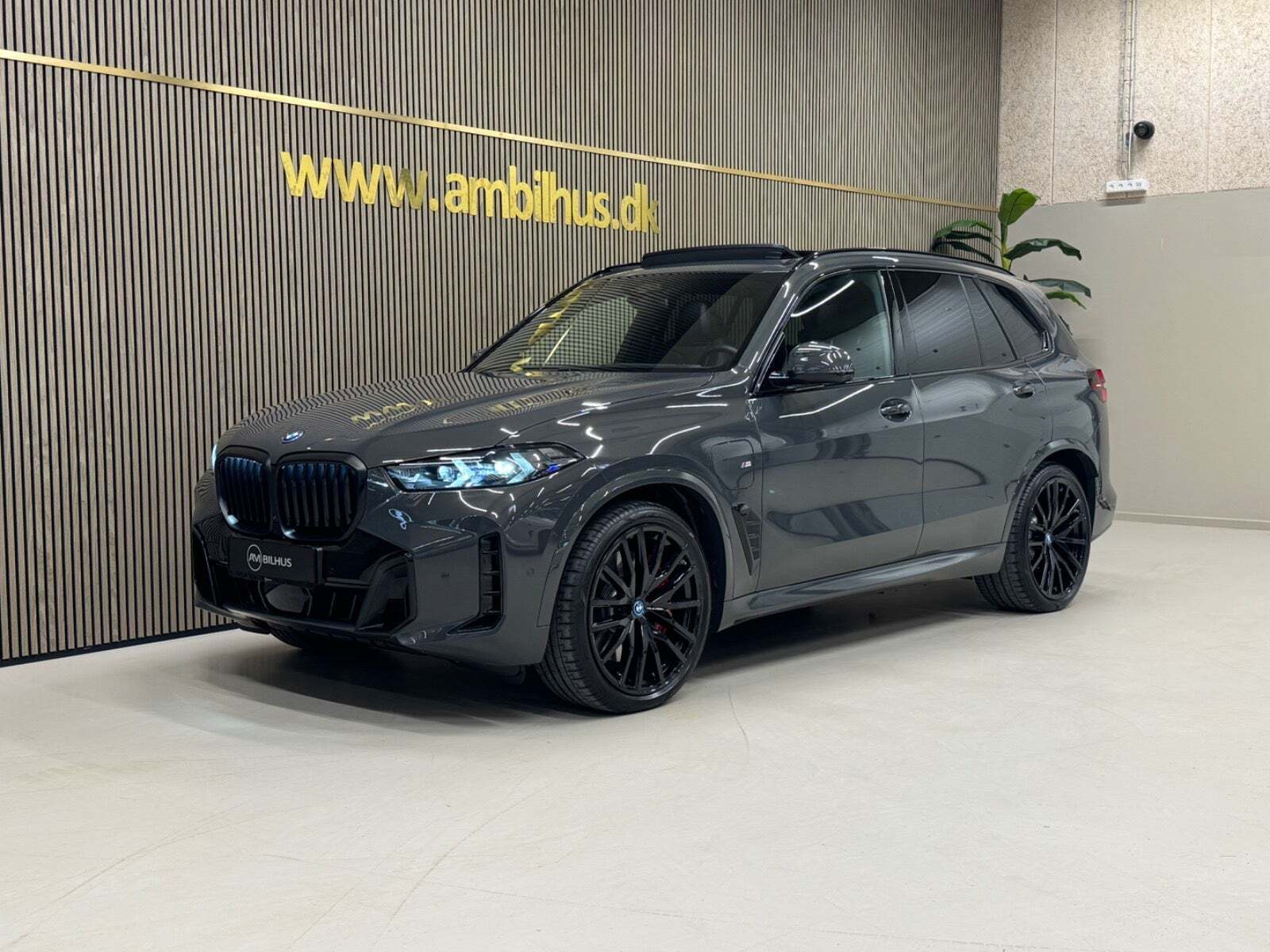 Grå BMW X5 fra 2025