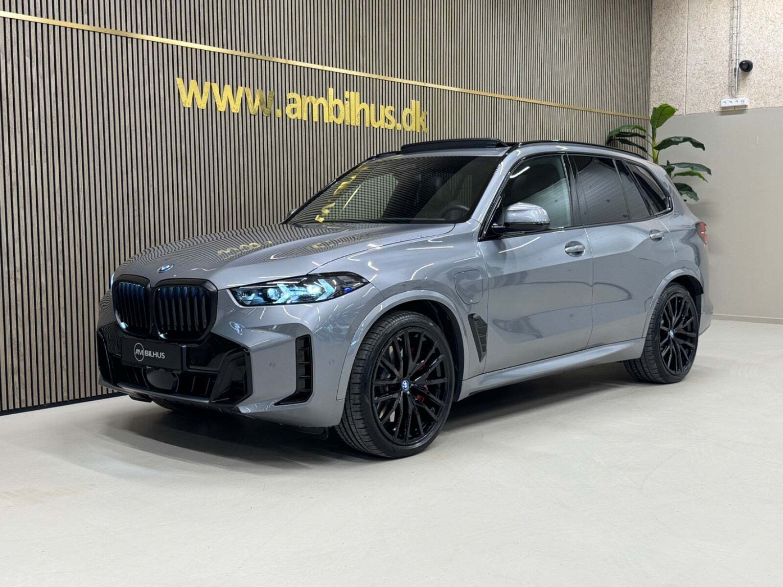 Grå BMW X5 fra 2025 set udefra