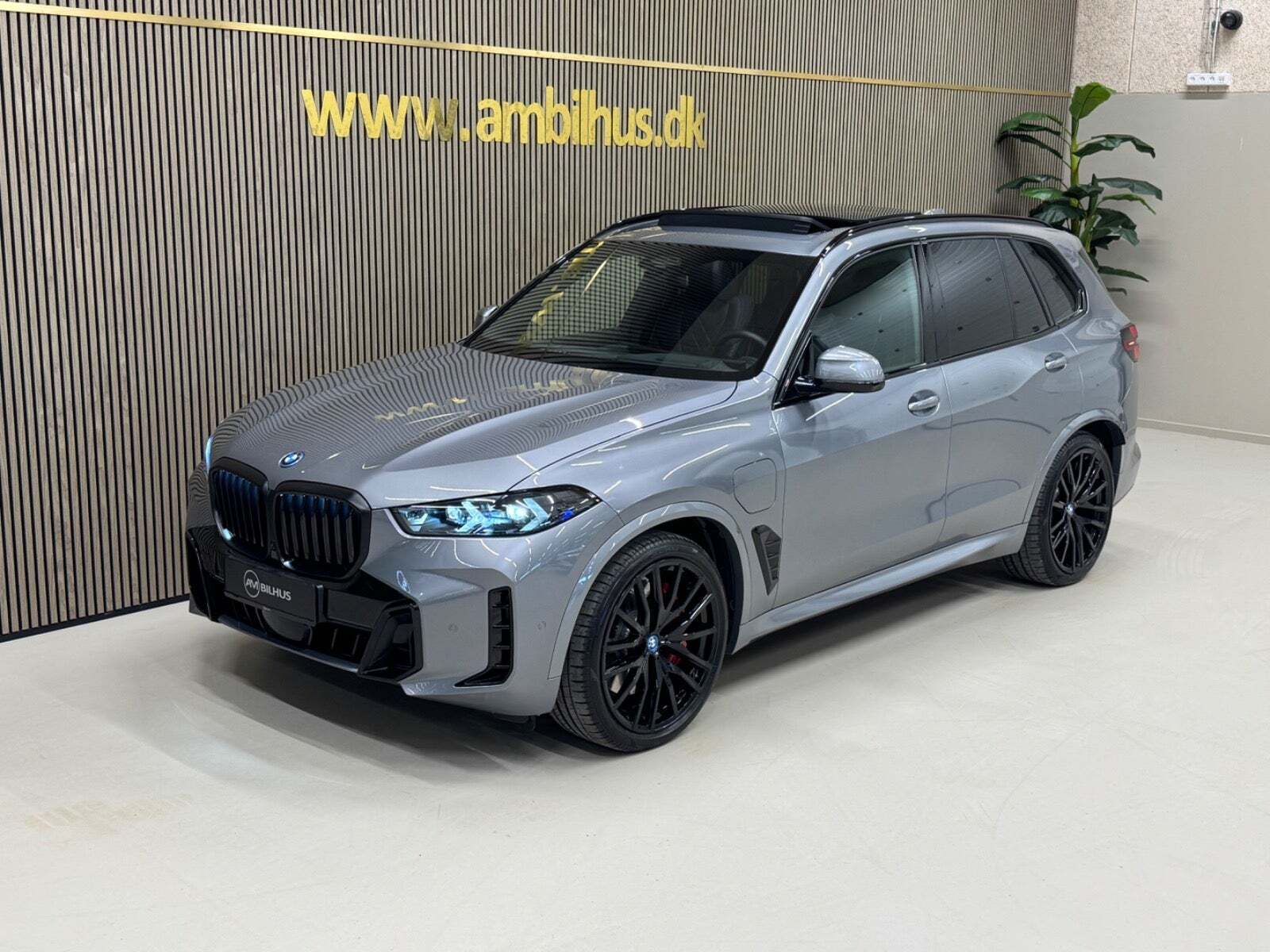 Grå BMW X5 fra 2025